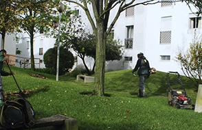 Contrate os nossos serviços de jardinagem