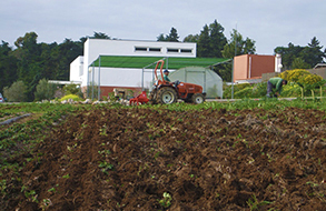 Desmatações de terrenos