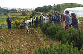 Workshops e formações 