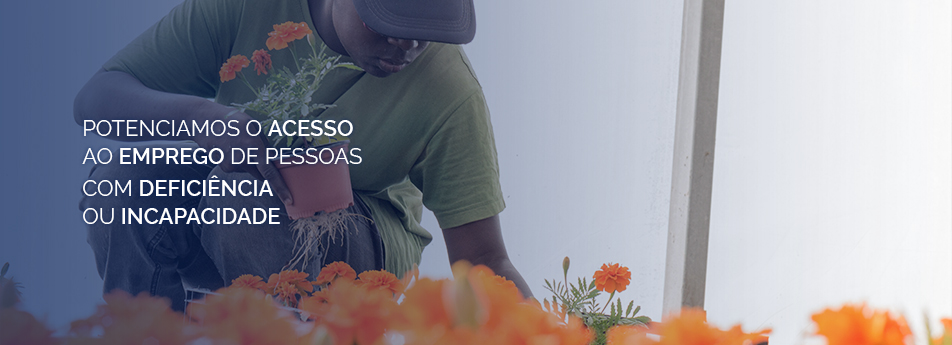 Qualificacao Formacao Profissional Header